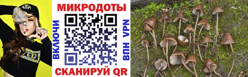 Галлюциногенные грибы Psilocybine cubensis  Купить  Лабинск 
